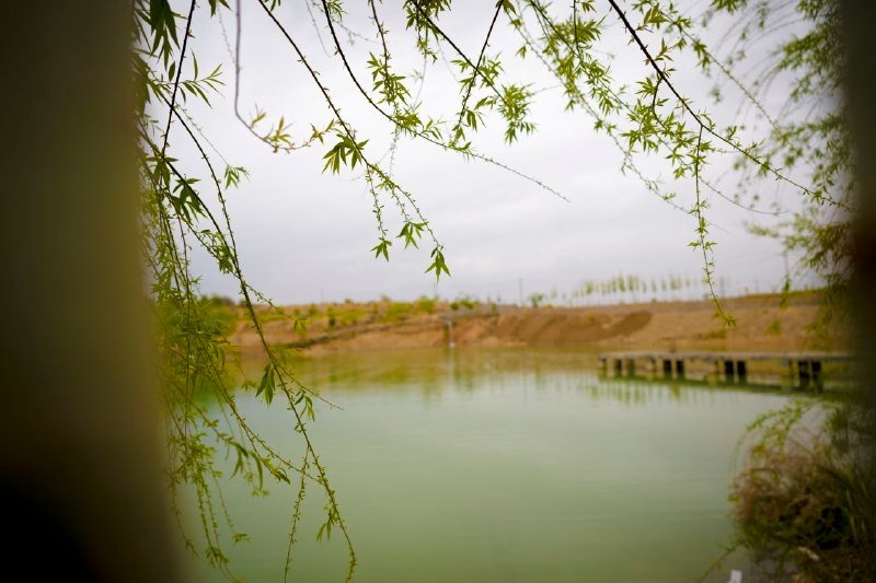 دهکده گردشگری شالیزار در بیضا شیراز - کلبه کاهگلی-3
