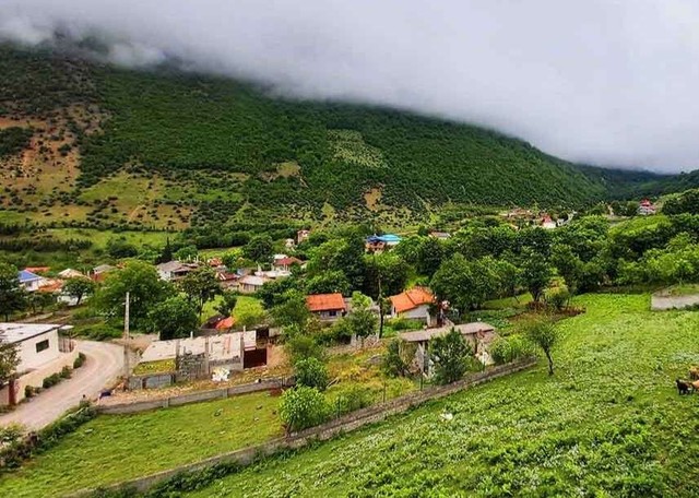 پر بازدید-محمودآباد