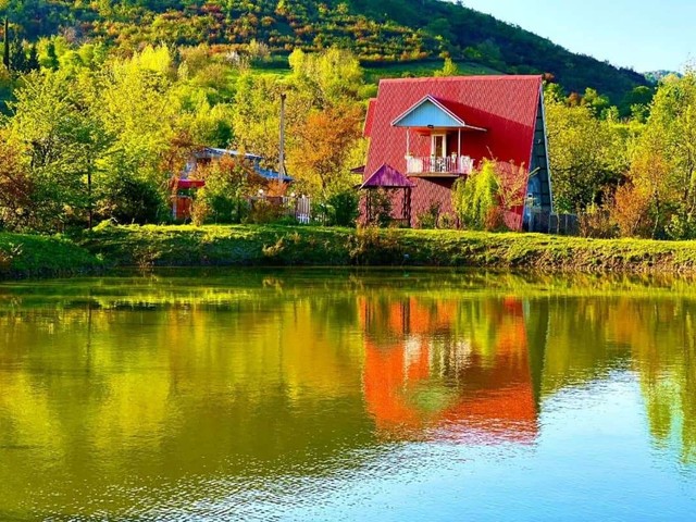 پر بازدید-ماسال