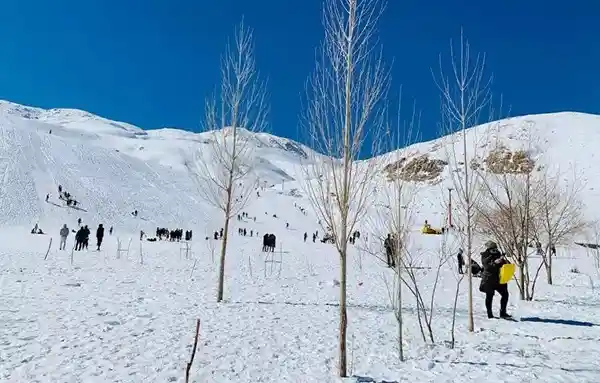 تفریحات زمستانی در شیراز : راهنمای جامع برای لذت بردن از زمستان شیراز