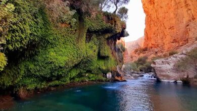 لیست لوازم طبیعت گردی برای سفر به شیراز