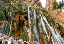 A trip to the living nature of Shiraz Abshar Margun