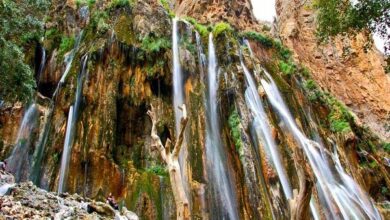 A trip to the living nature of Shiraz Abshar Margun